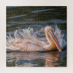 Pelican in Motion Puzzle