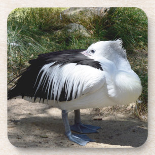 Pelican ist Gefühl so schlampig, harter Kunststoff Getränkeuntersetzer
