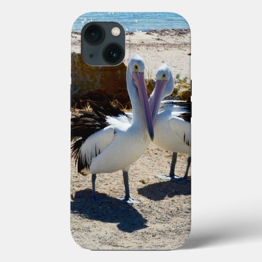 Pelican Liebe, iPhone 13 Case (Rückseite)