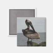Pelican Magnet (Vorderseite/Rückseite)