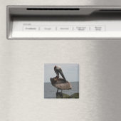 Pelican Magnet (In Situ (Geschirrspüler))