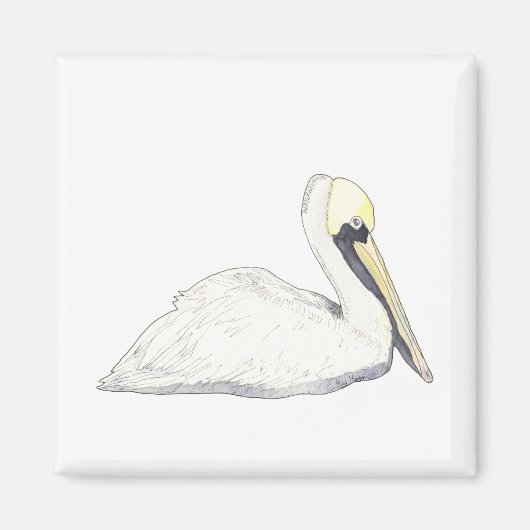 Pelican Magnet (Vorne)