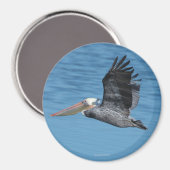 Pelican Magnet 8 (Vorderseite/Rückseite)