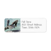 Pelican Mailing Labels (Vorne)