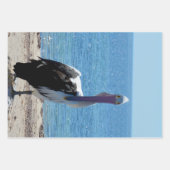 Pelican mit dem "Look", Geschenkgutscheine Geschenkpapier Set (Vorderseite)