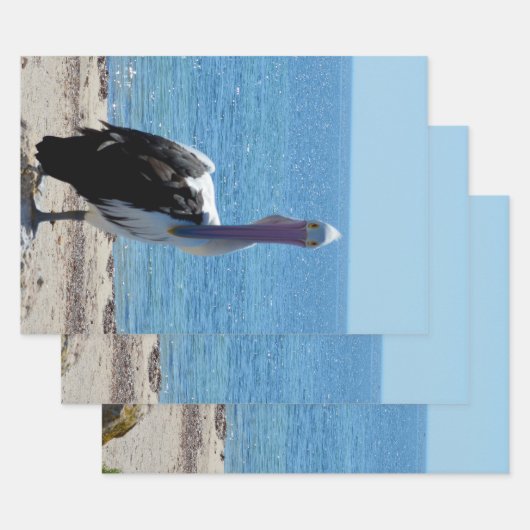 Pelican mit dem "Look", Geschenkgutscheine Geschenkpapier Set (Set)