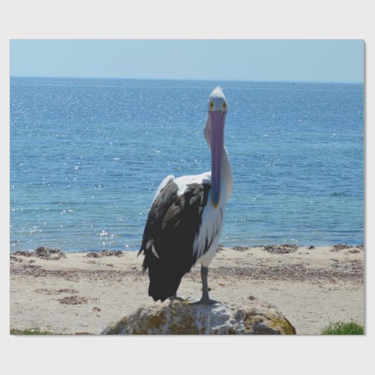 Pelican mit dem "Look", Geschenkpapier (Flach)