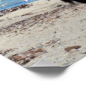 Pelican mit dem "Look", Poster (Ecke)