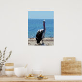 Pelican mit dem "Look", Poster (Küche)