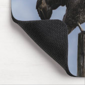 Pelican Mouse Pad Mousepad (Ecke)