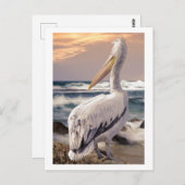 Pelican Ocean Beach Waves Sunset Postkarte (Vorne/Hinten)