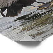 Pelican on A Rock Poster (Ecke)