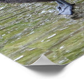 Pelican on A Rock Poster (Ecke)