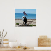 Pelican On Beach Rocks, Poster (Küche)