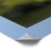 Pelican on Blue Poster (Ecke)