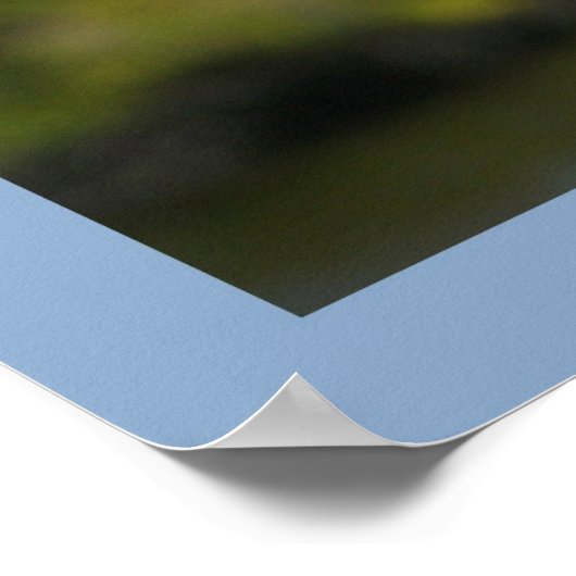 Pelican on Blue Poster (Ecke)