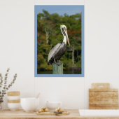 Pelican on Blue Poster (Küche)