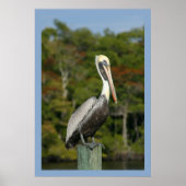 Pelican on Blue Poster (Vorne)