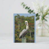 Pelican on Blue Postkarte (Stehend Vorderseite)