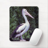 Pelican on Farm, Tasmanien - Australien Mousepad (Mit Mouse)