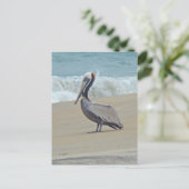 Pelican on Outer Banks OBX NC Postkarte (Stehend Vorderseite)