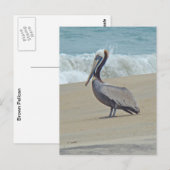 Pelican on Outer Banks OBX NC Postkarte (Vorne/Hinten)