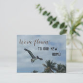 Pelican Palm Trees New Address Ankündigung (Stehend Vorderseite)