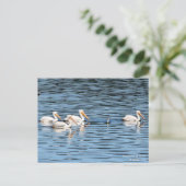 Pelican Parade - Postcard Postkarte (Stehend Vorderseite)