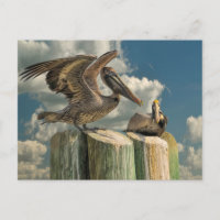 Pelican Parodies Florida Wildlife