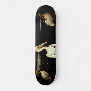 Pelican Party Ansammlung am Fluss Bank Skateboard