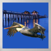 Pelican Pier Poster (Vorne)