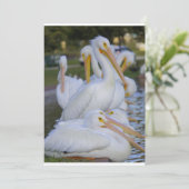 Pelican Pile Holiday Card Feiertagskarte (Stehend Vorderseite)