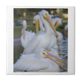 Pelican Pile Tile Fliese (Vorderseite)