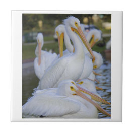 Pelican Pile Tile Fliese