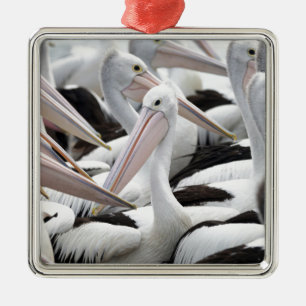 Pelican Pod Ornament Aus Metall