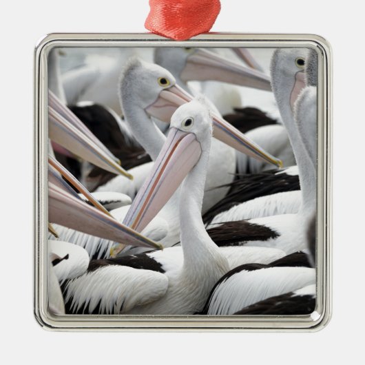 Pelican Pod Ornament Aus Metall (Vorne)