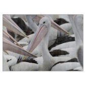 Pelican Pod Schneidebrett (Vorderseite)