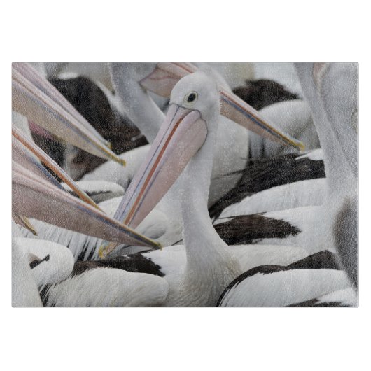 Pelican Pod Schneidebrett (Vorderseite)