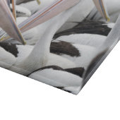 Pelican Pod Schneidebrett (Ecke)