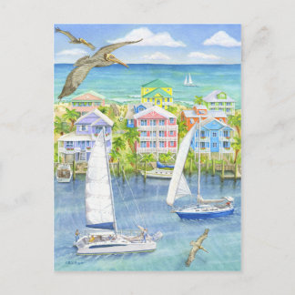 Pelican Point of View Postkarte