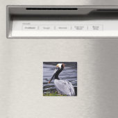 Pelican Poser Magnet (In Situ (Geschirrspüler))