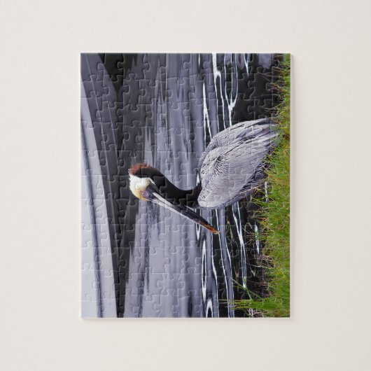 Pelican Poser Puzzle (Vertikal)