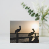 Pelican Post Card Postkarte (Stehend Vorderseite)