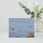 Pelican Postcard Postkarte (Stehend Vorderseite)