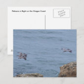 Pelican Postcard Postkarte (Vorne/Hinten)