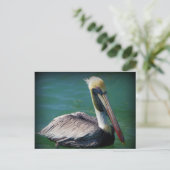Pelican Postcard Postkarte (Stehend Vorderseite)