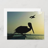 PELICAN POSTCARD POSTKARTE (Vorne/Hinten)