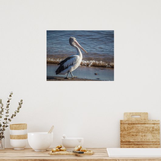 Pelican Poster (Küche)