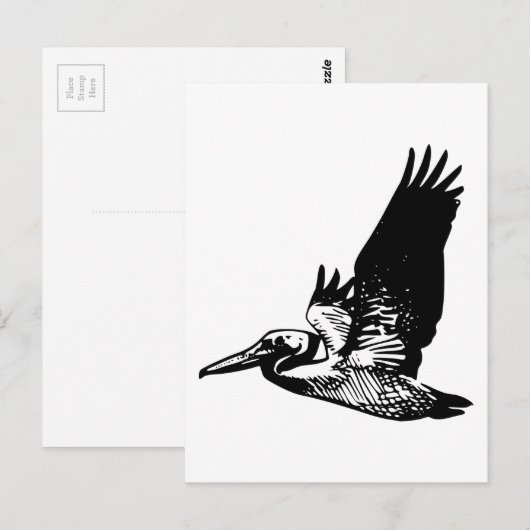 Pelican Postkarte (Vorne/Hinten)