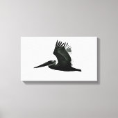 Pelican Print - "In Flight" Leinwanddruck (Vorderseite)